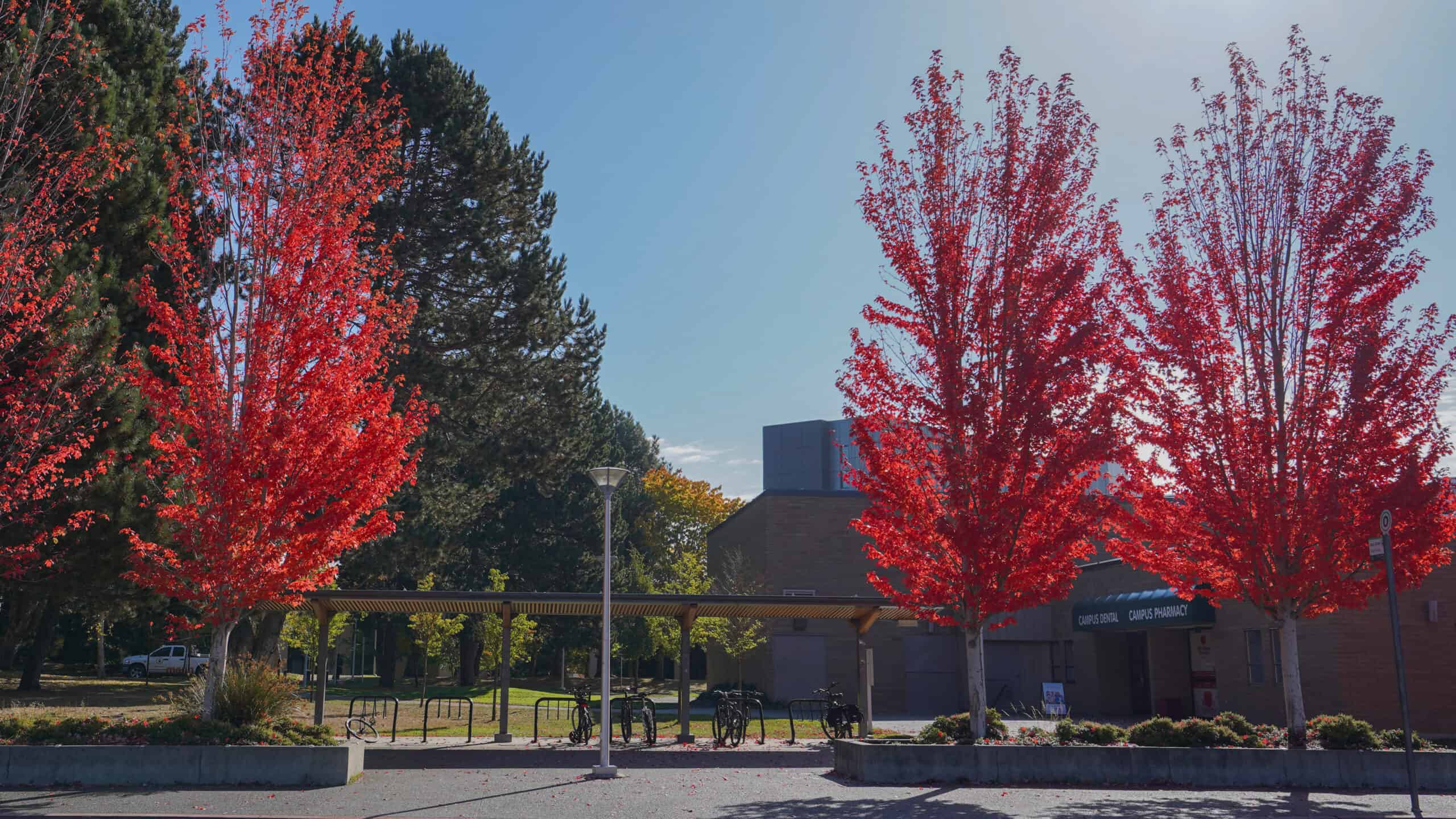 Campus-Dental-Centre-reception